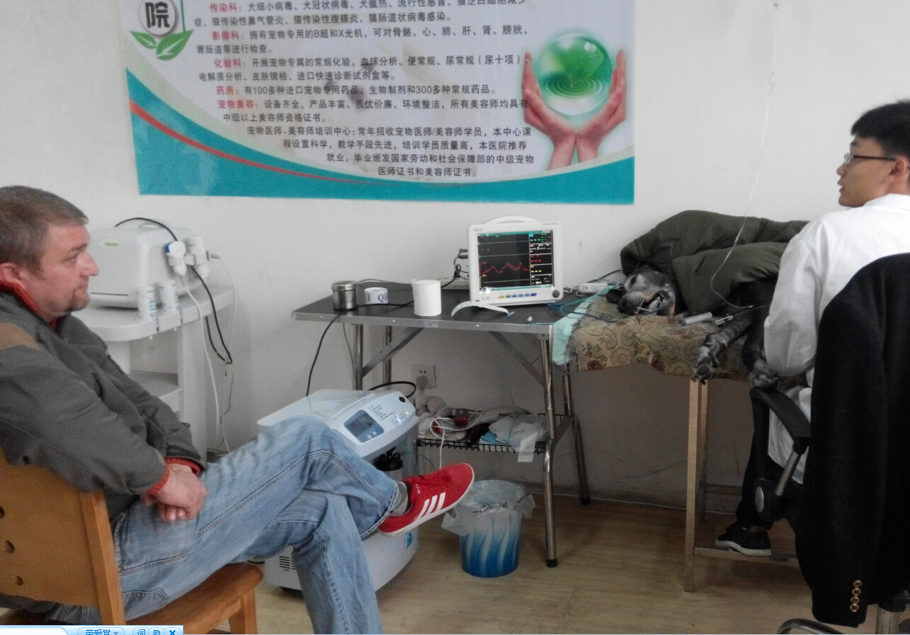 心電圖、血壓檢查